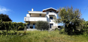 Hotels in Treppo Grande